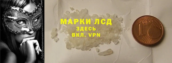 спайс Инта