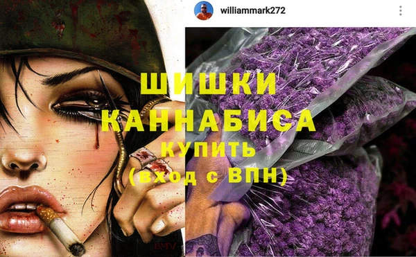 PSILOCYBIN Иннополис