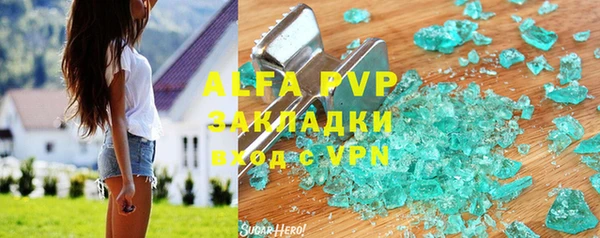 спайс Инта