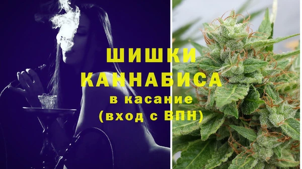спайс Инта