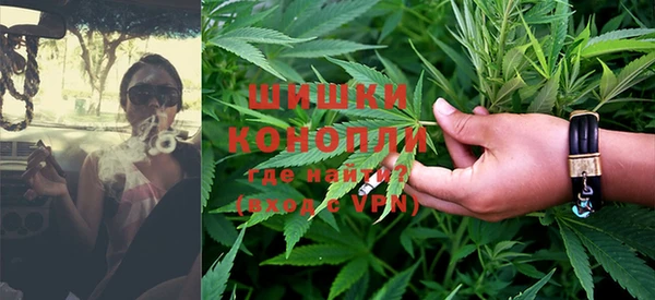 PSILOCYBIN Иннополис