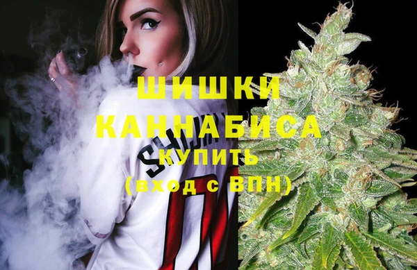 спайс Инта