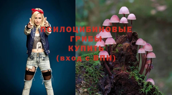 спайс Инта