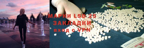 PSILOCYBIN Иннополис