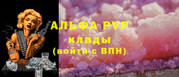 первитин Инсар